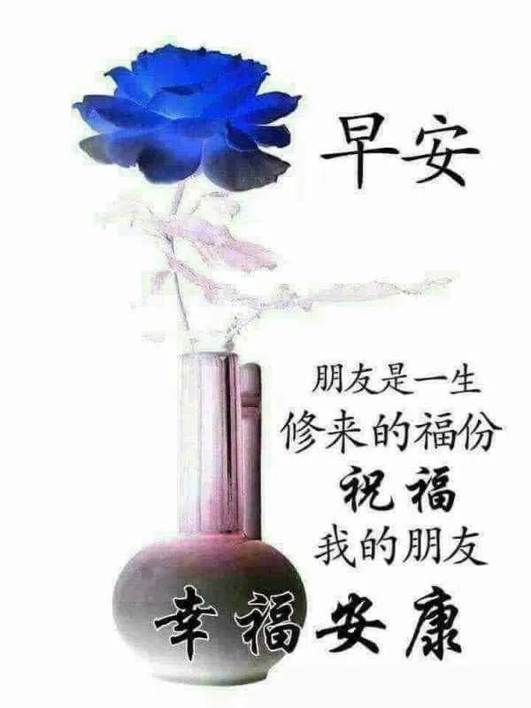 90aabbe3-c831-40f7-a803-1eb562ef6590.jpg