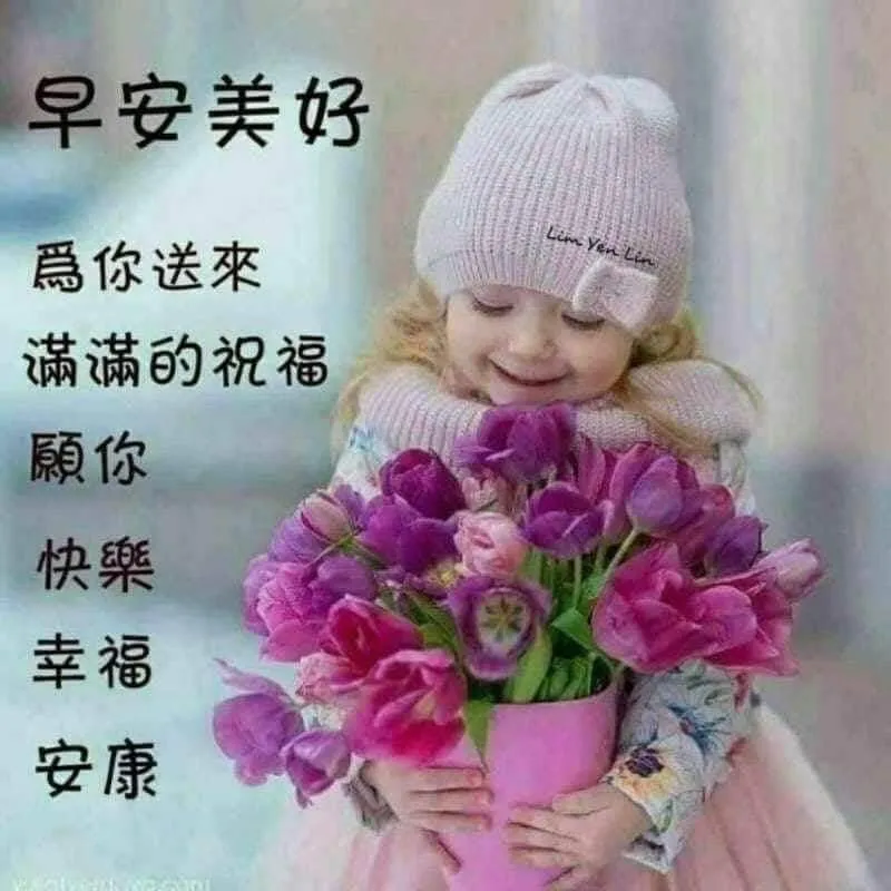 fc232b26-7ae0-4a13-98d8-703d946c9aac.jpg