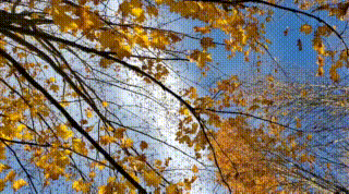 24a59a44-3b6e-4da4-ac27-869fa327a653.gif