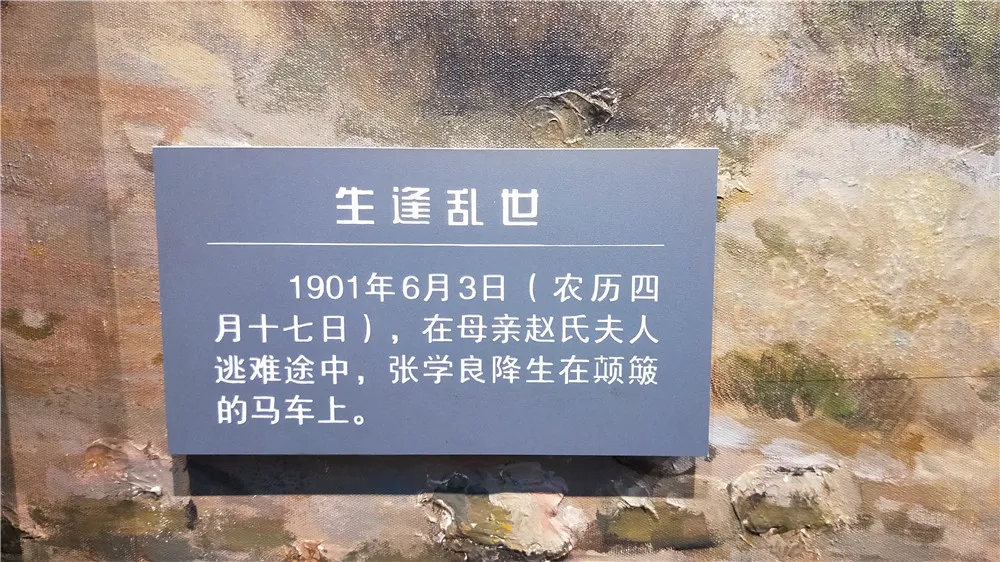 说明出生.jpg
