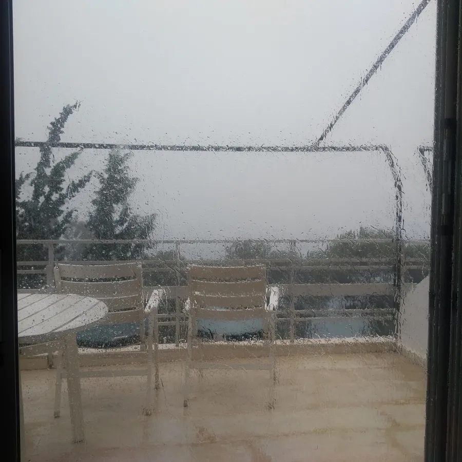 Optimized-Zorba1IMG_20180929_1612548.jpg