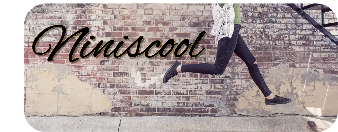 Imagen de despedida. Niniscool.png