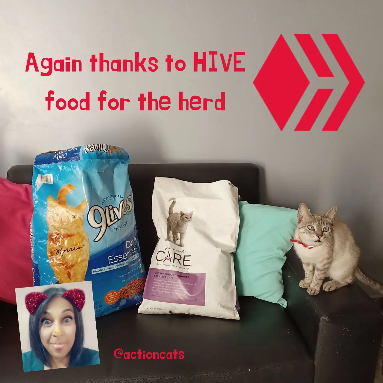 De nuevo gracias a HIVE alimento para la manada