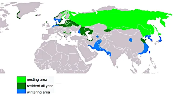 Haliaeetus_albicilla_distribution_map The Engineer 3.0.jpg