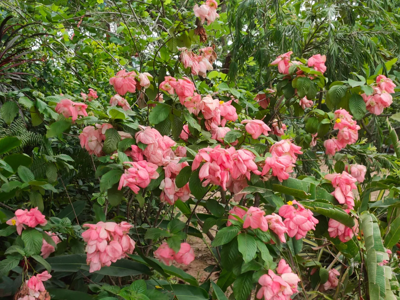 IMG20230521161354.jpg