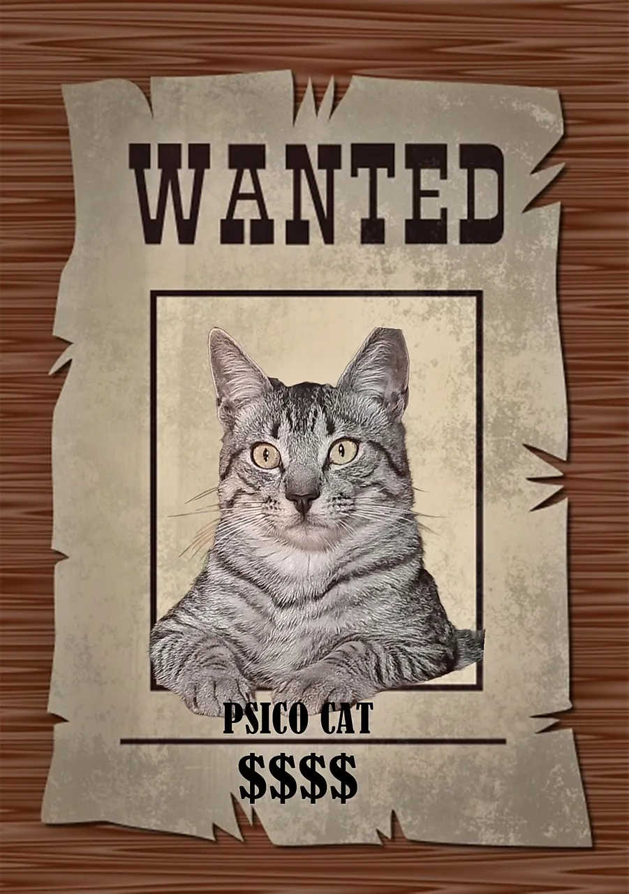 wanted-poster.jpg