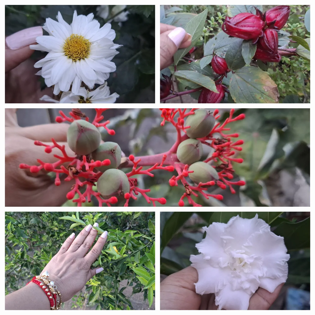 1000071660.jpg