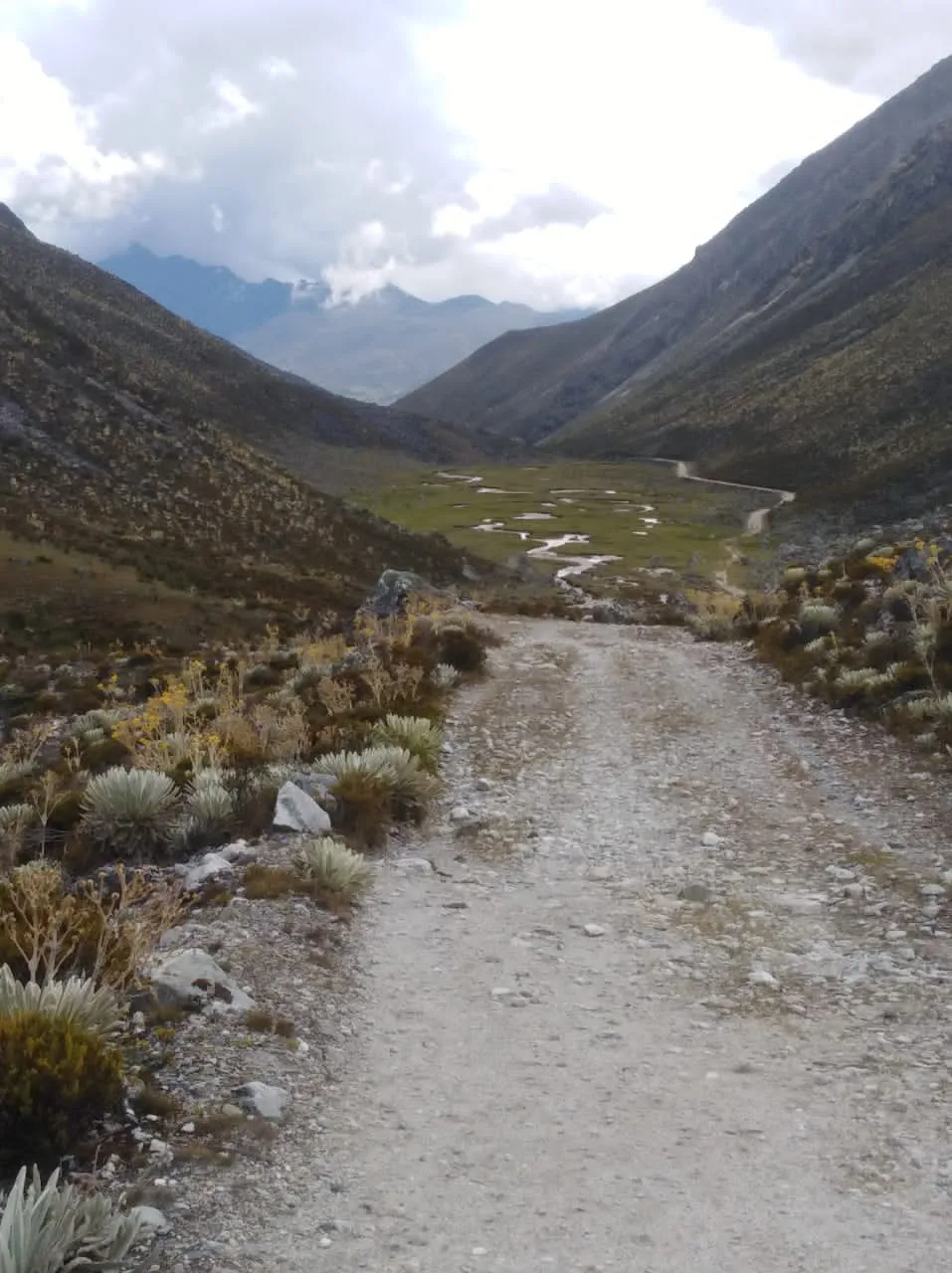camino