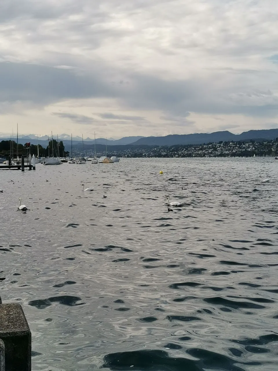 IMG_20220907_095229.jpg