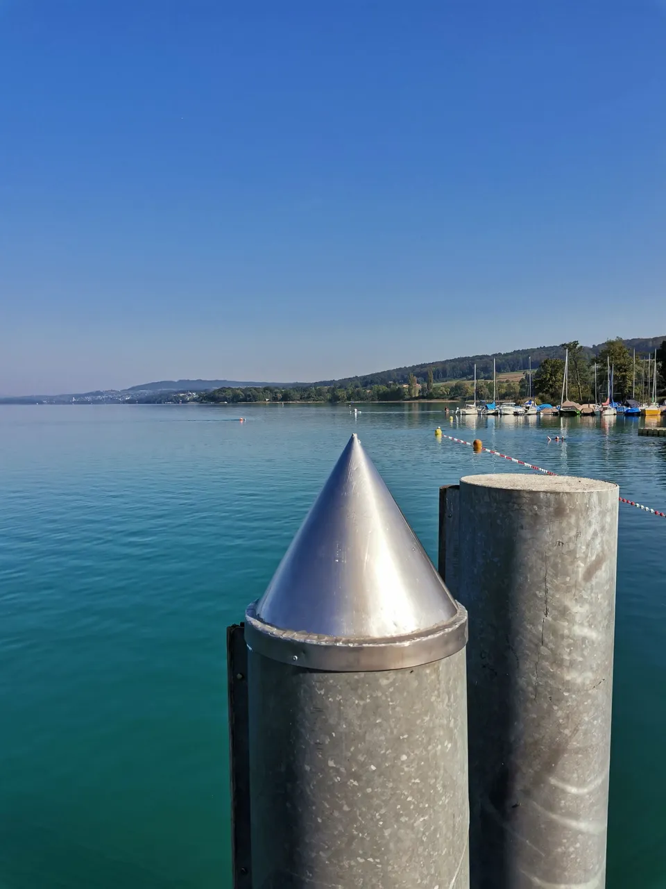 IMG_20230911_105200.jpg