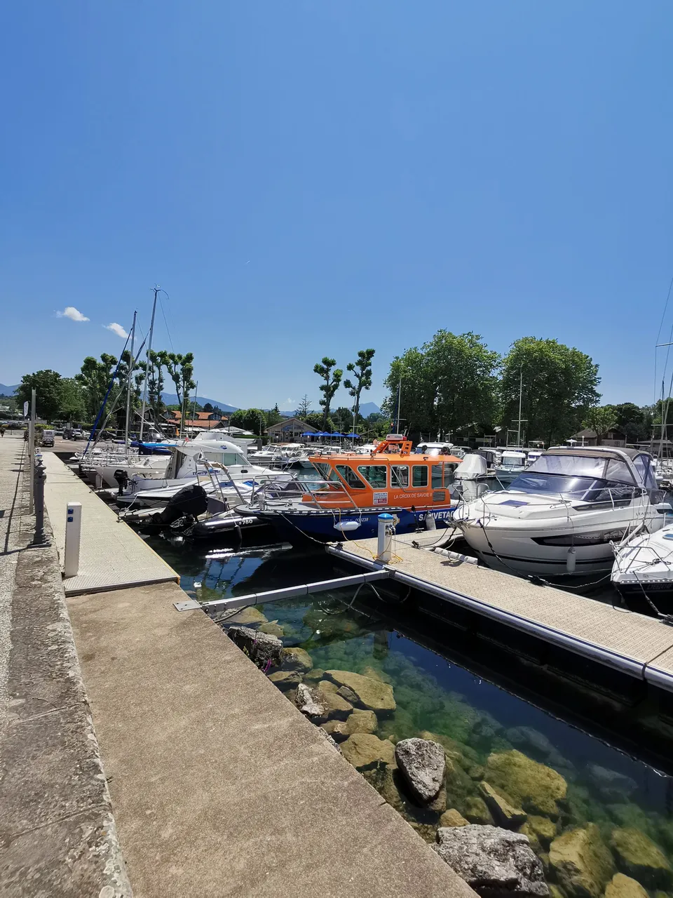 IMG_20250621_142650.jpg