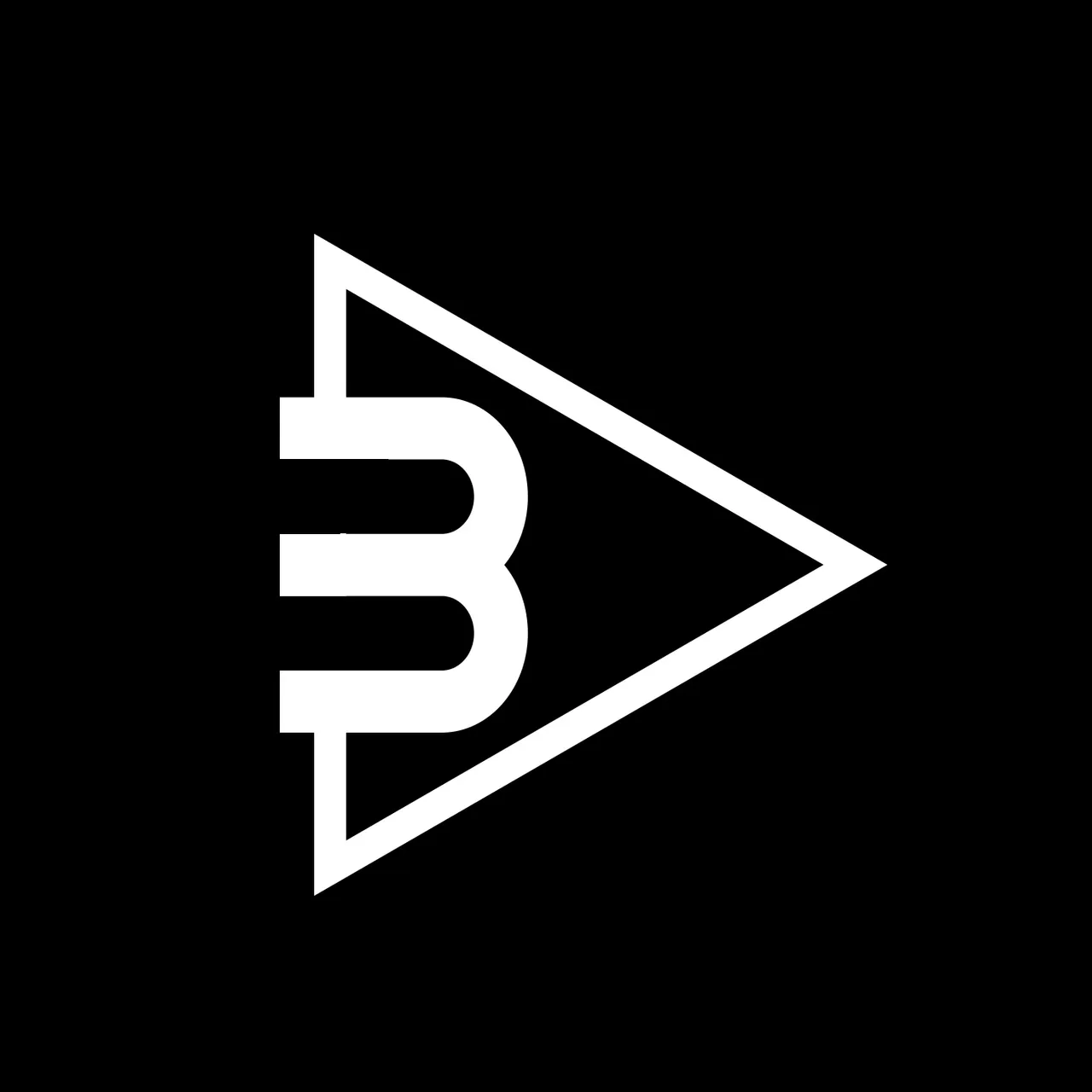 Brite Point Logo (Thick).jpg