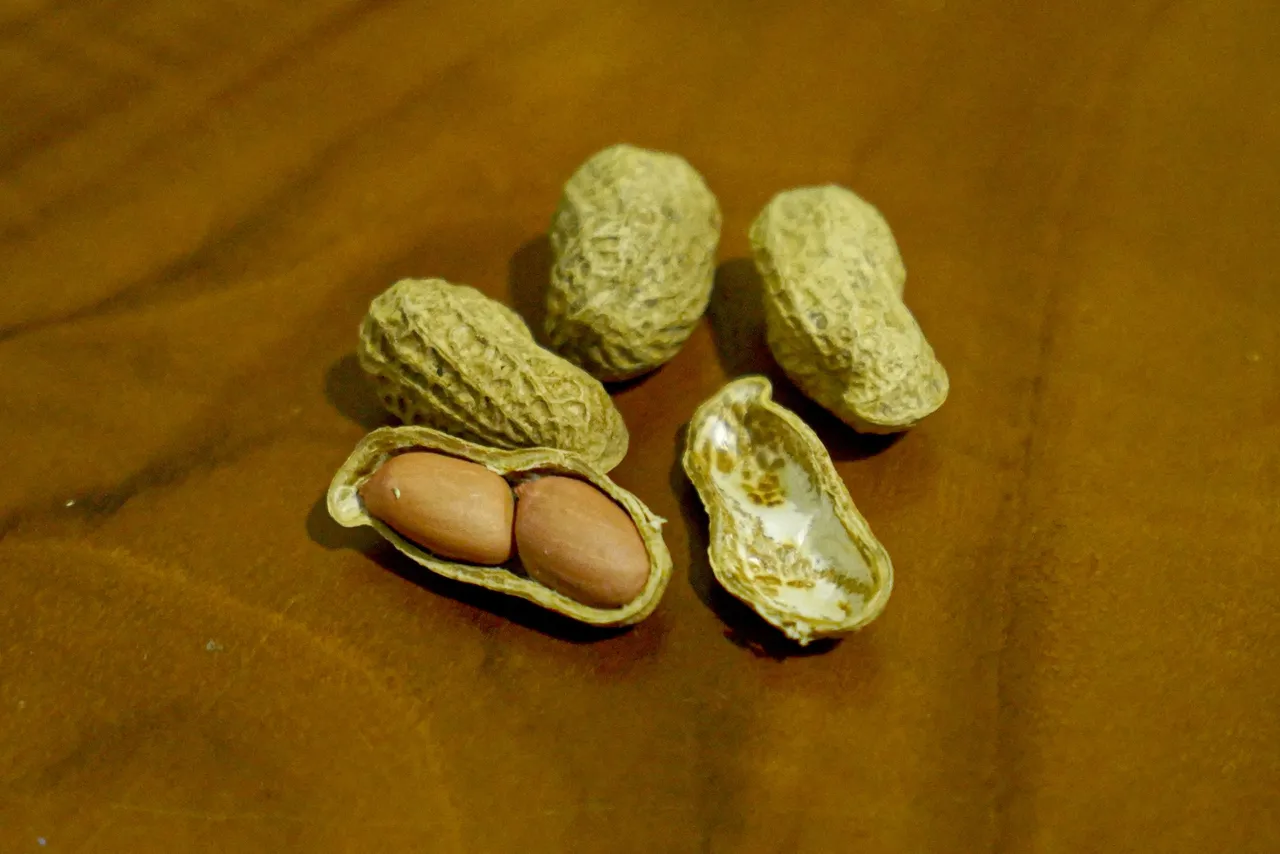 ARF09359.jpg