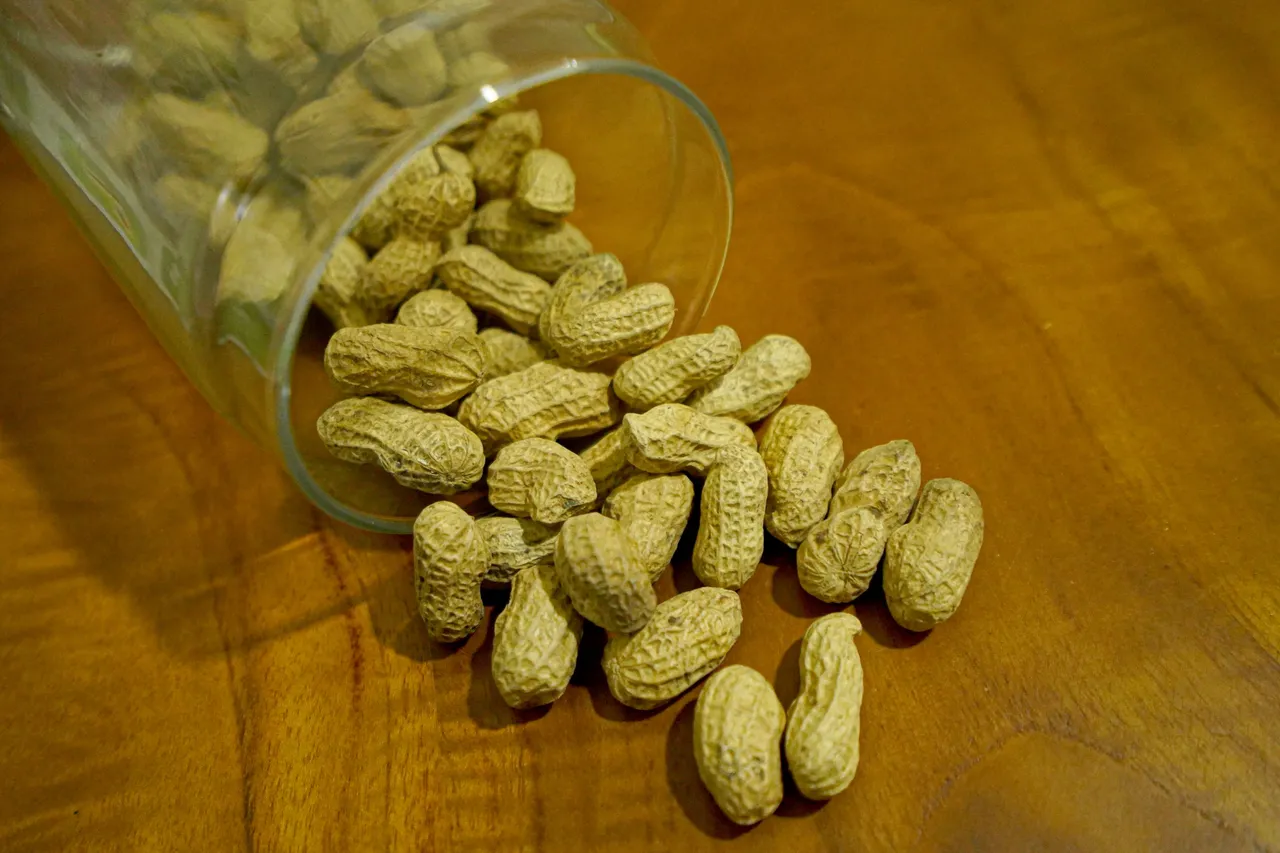 ARF09350.jpg
