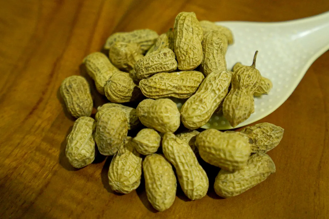ARF09353.jpg