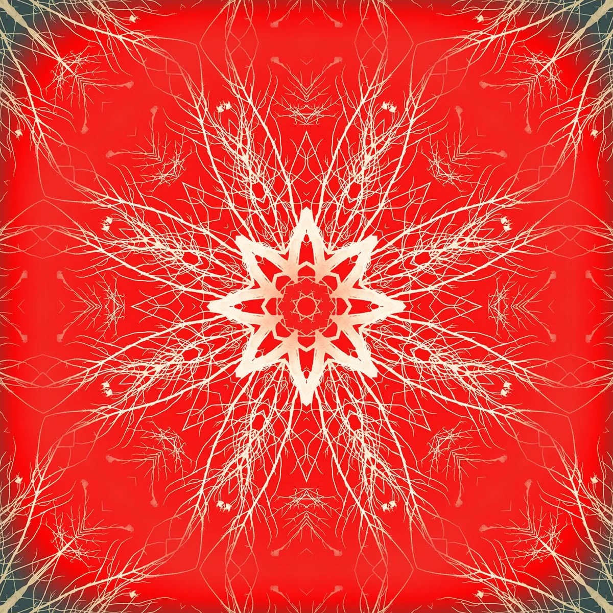 redred.jpg
