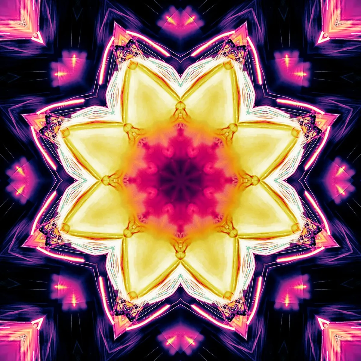light-flowers.jpg