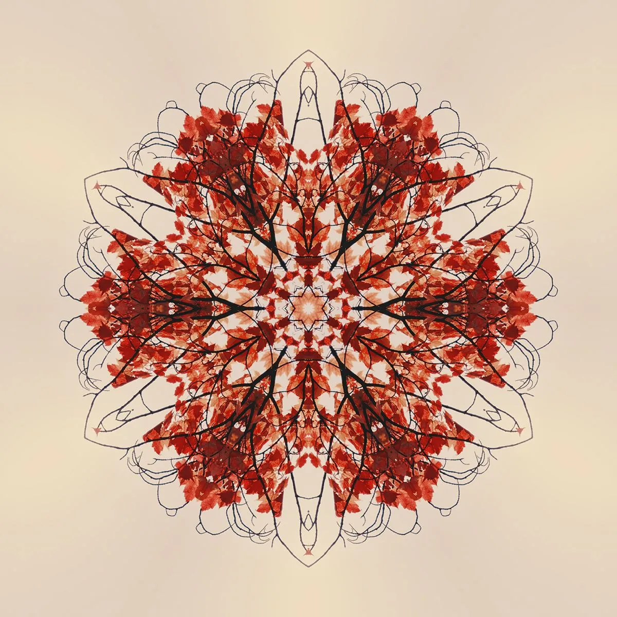 flowers.jpg
