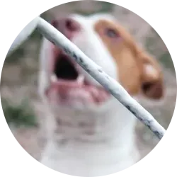 ddddddd.png