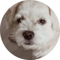 vffvfv.png