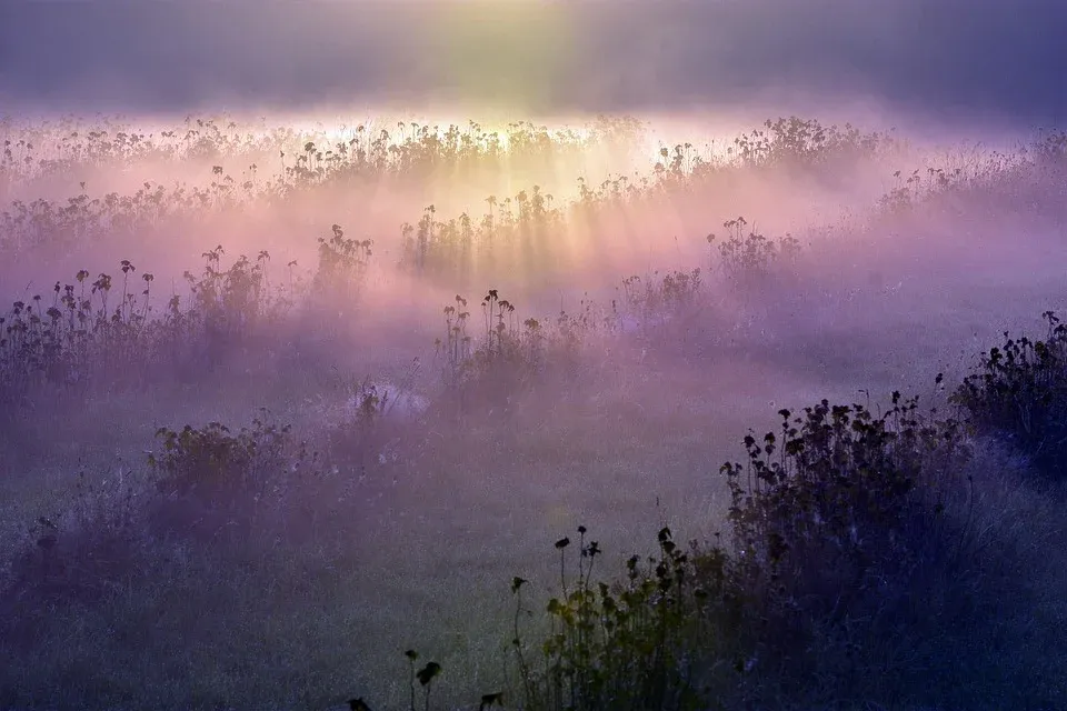 morning-fog-5567840_960_720.webp