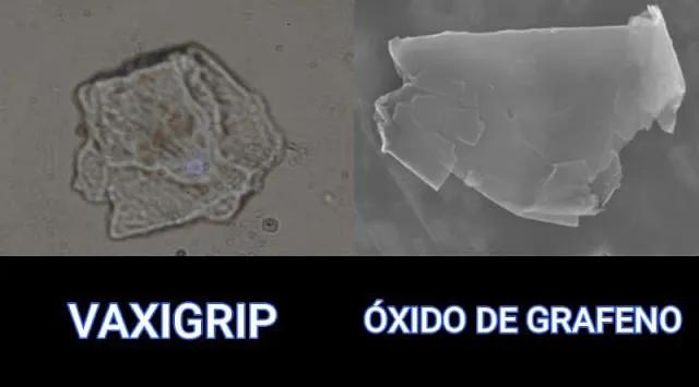 Graphene oxide in Vaxigrip Tetra 16.jpg