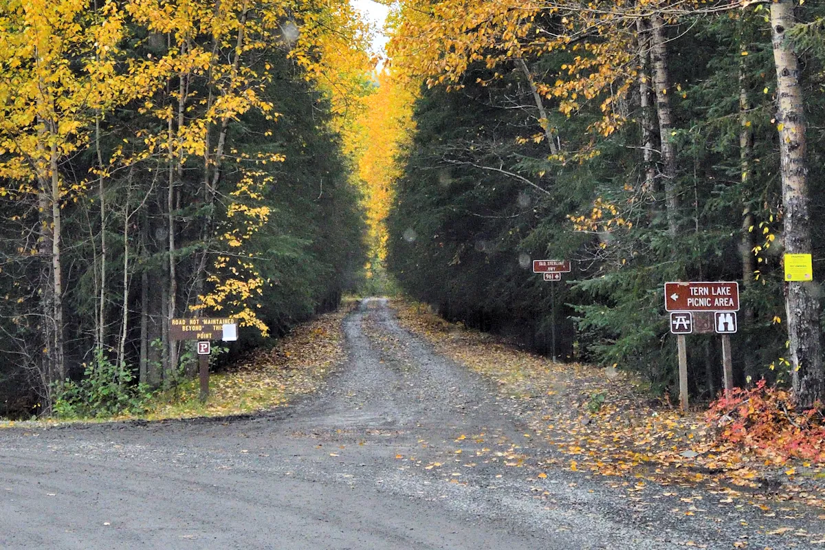 Old Sterling Highway at Tern Lake