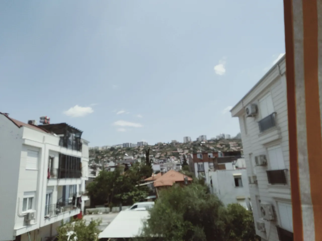 IMG20220612114335.jpg