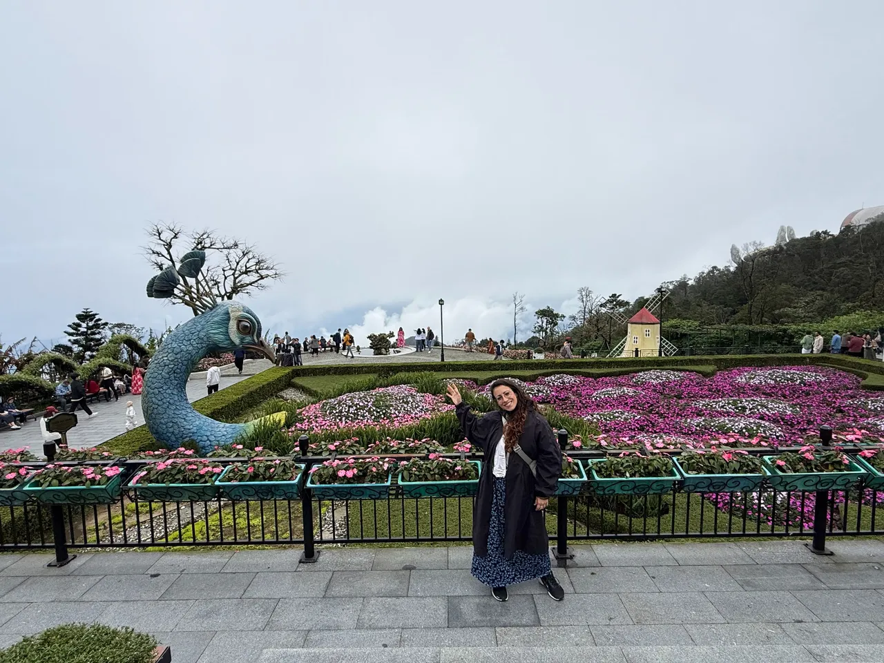 IMG_3557.jpeg