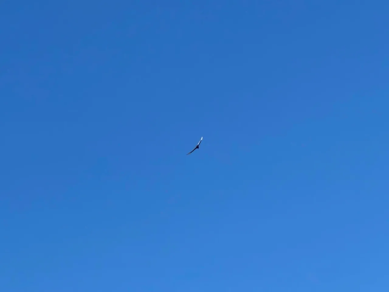 F47C5CD6-52B2-4ACA-9328-D7DA71CC55E4.jpeg