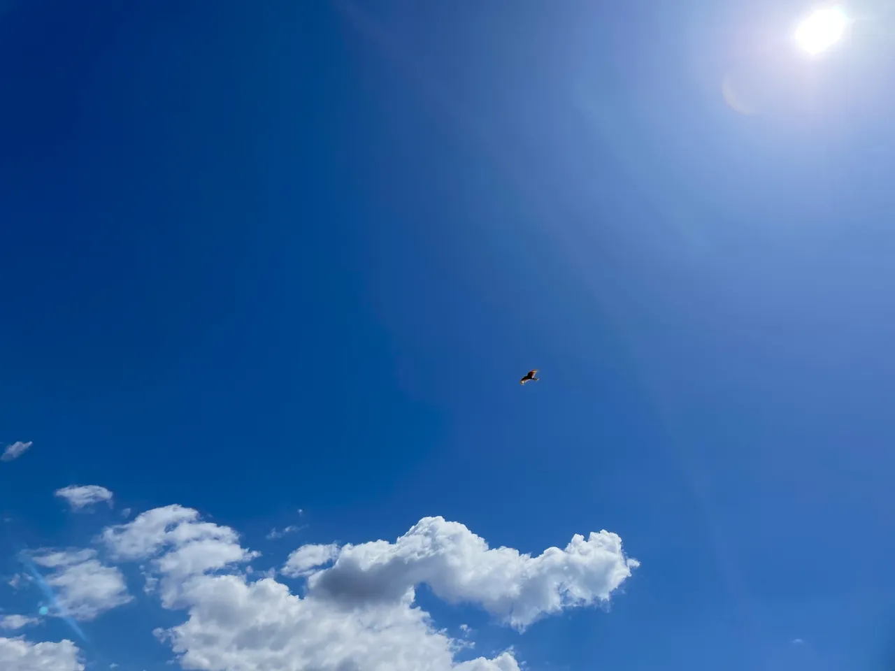 FBE80655-7D35-41C5-B1D7-5C94E3067B9E.jpeg