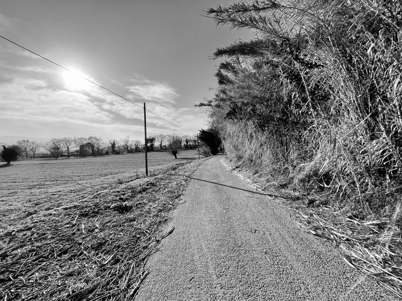 IMG_1739.jpeg