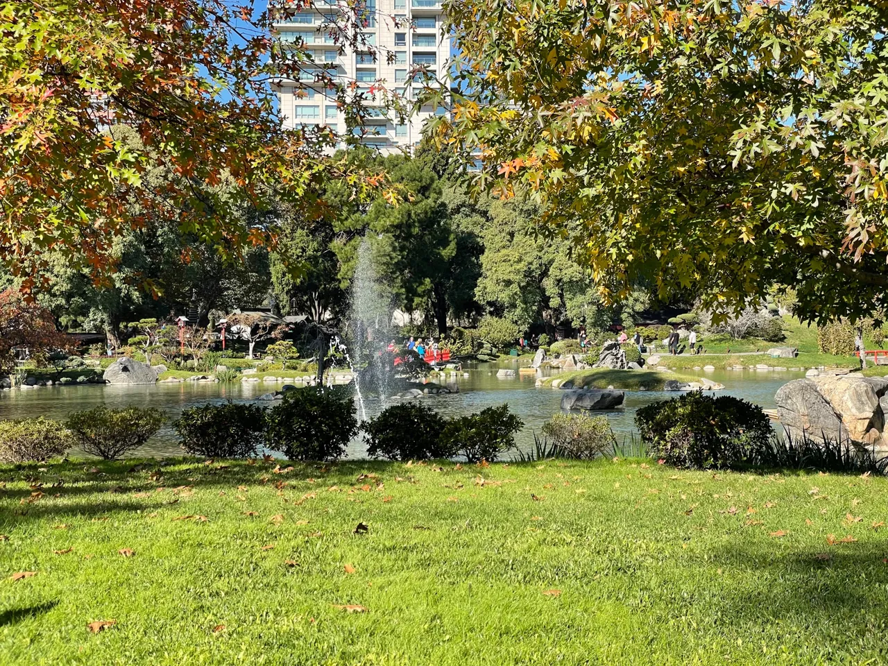 IMG_7685.jpeg
