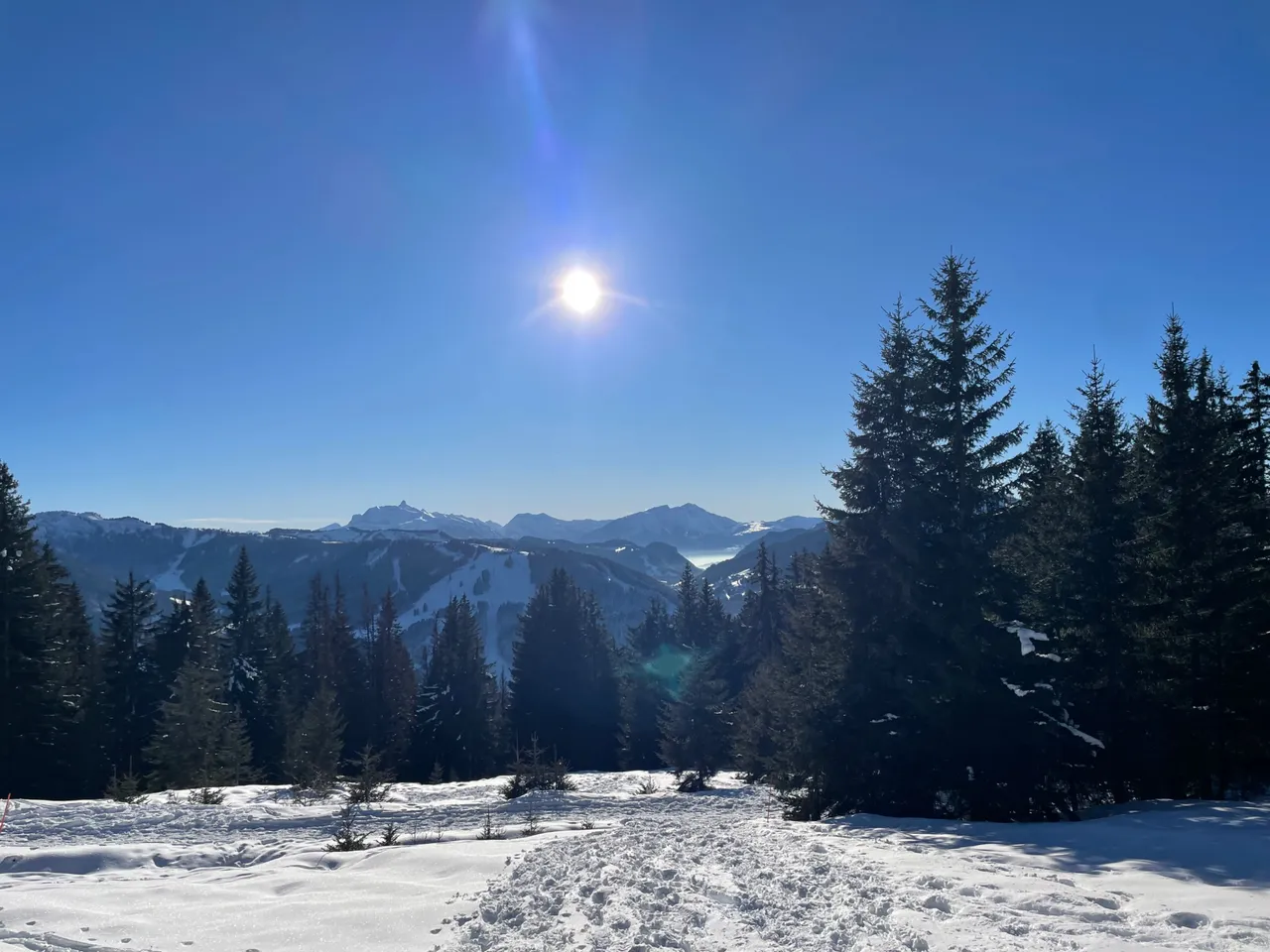 IMG_4523.jpeg