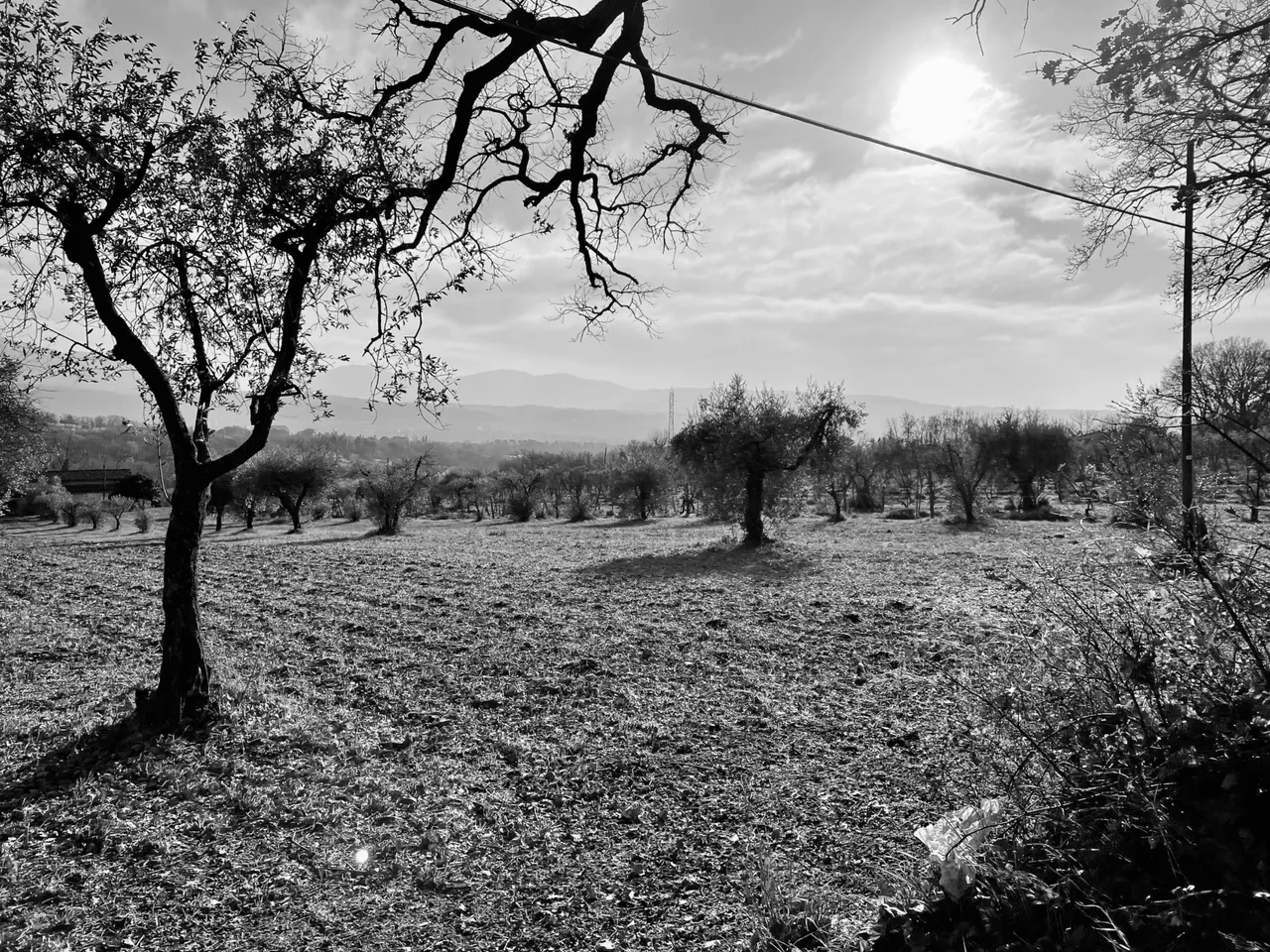 IMG_1740.jpeg