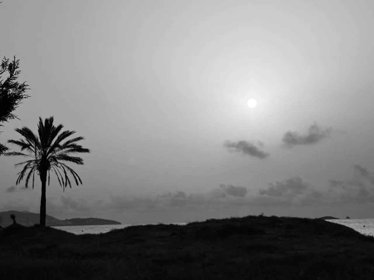 IMG_2776.jpeg
