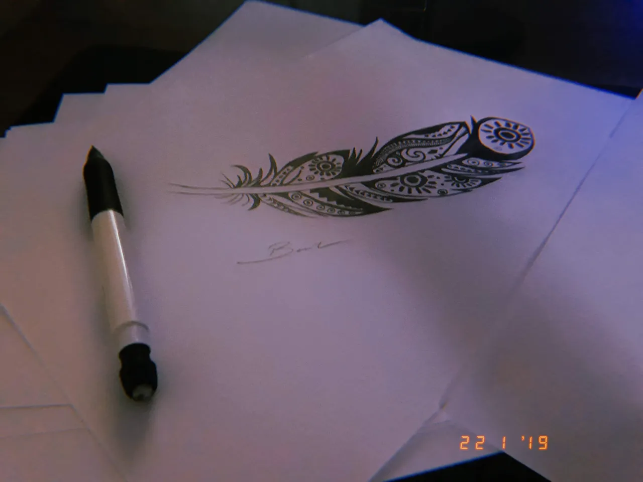 20190122_050833_0.jpg