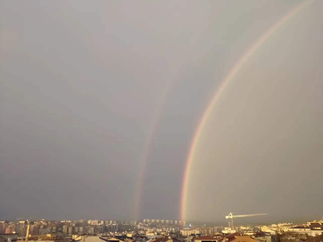 IMG20230120175901.jpg