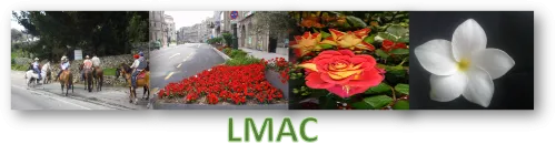 LMAC.png