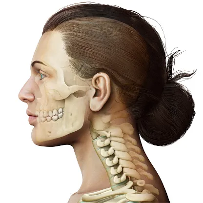 istockphoto-1256669401-170667a.jpg