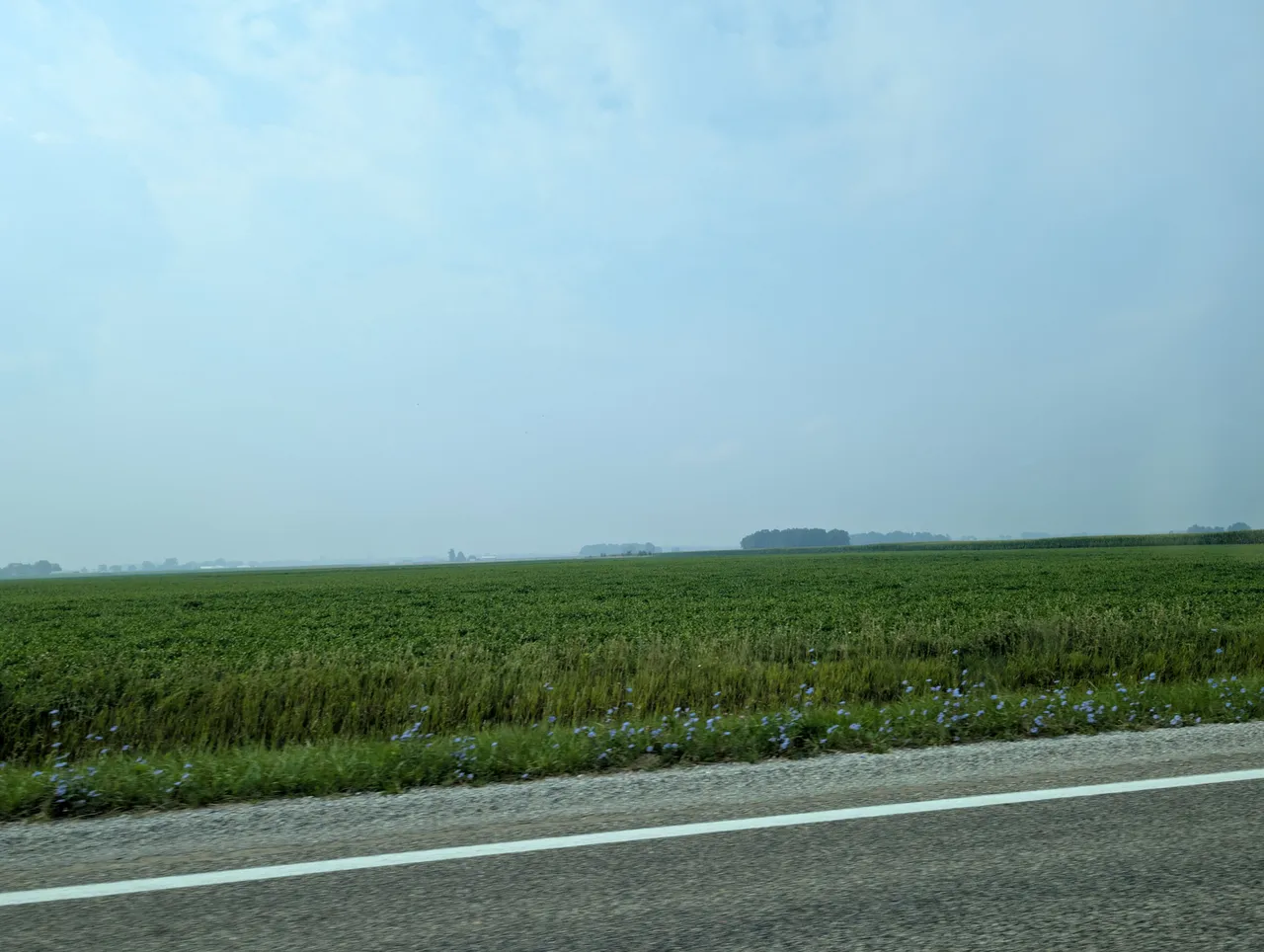 PXL_20250731_144741763.jpg