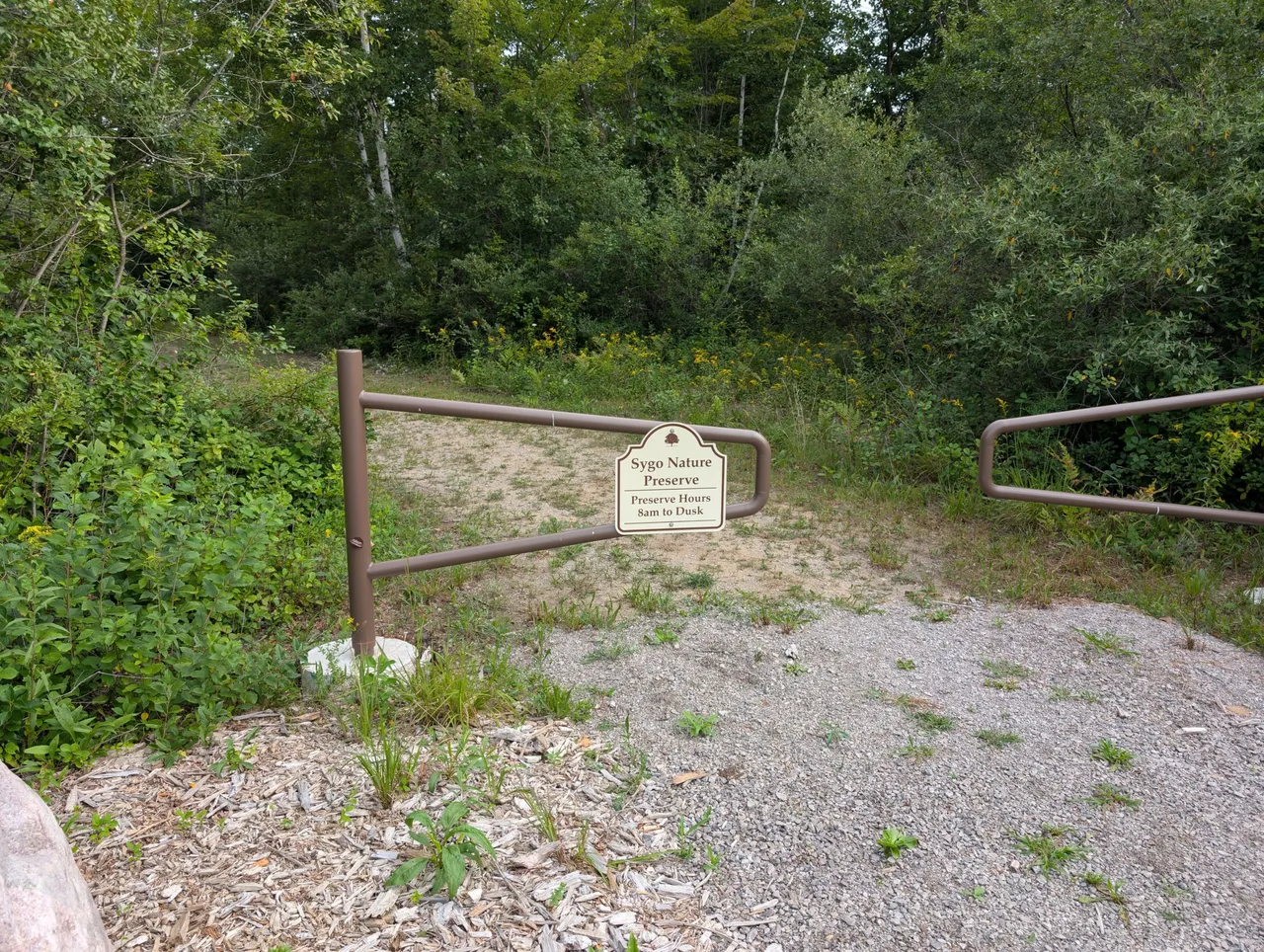 PXL_20250726_122222425.jpg