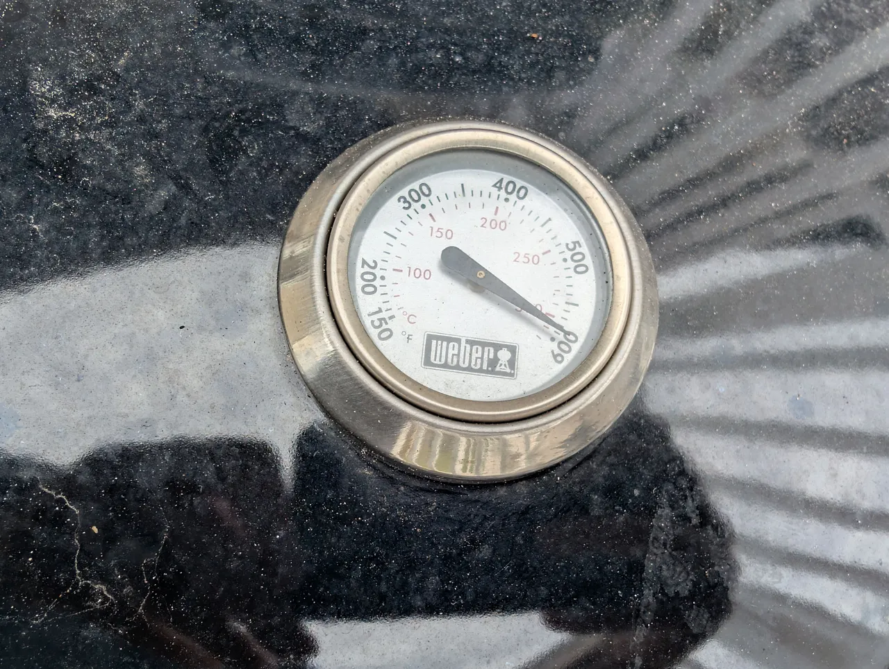 PXL_20250413_154935234.jpg
