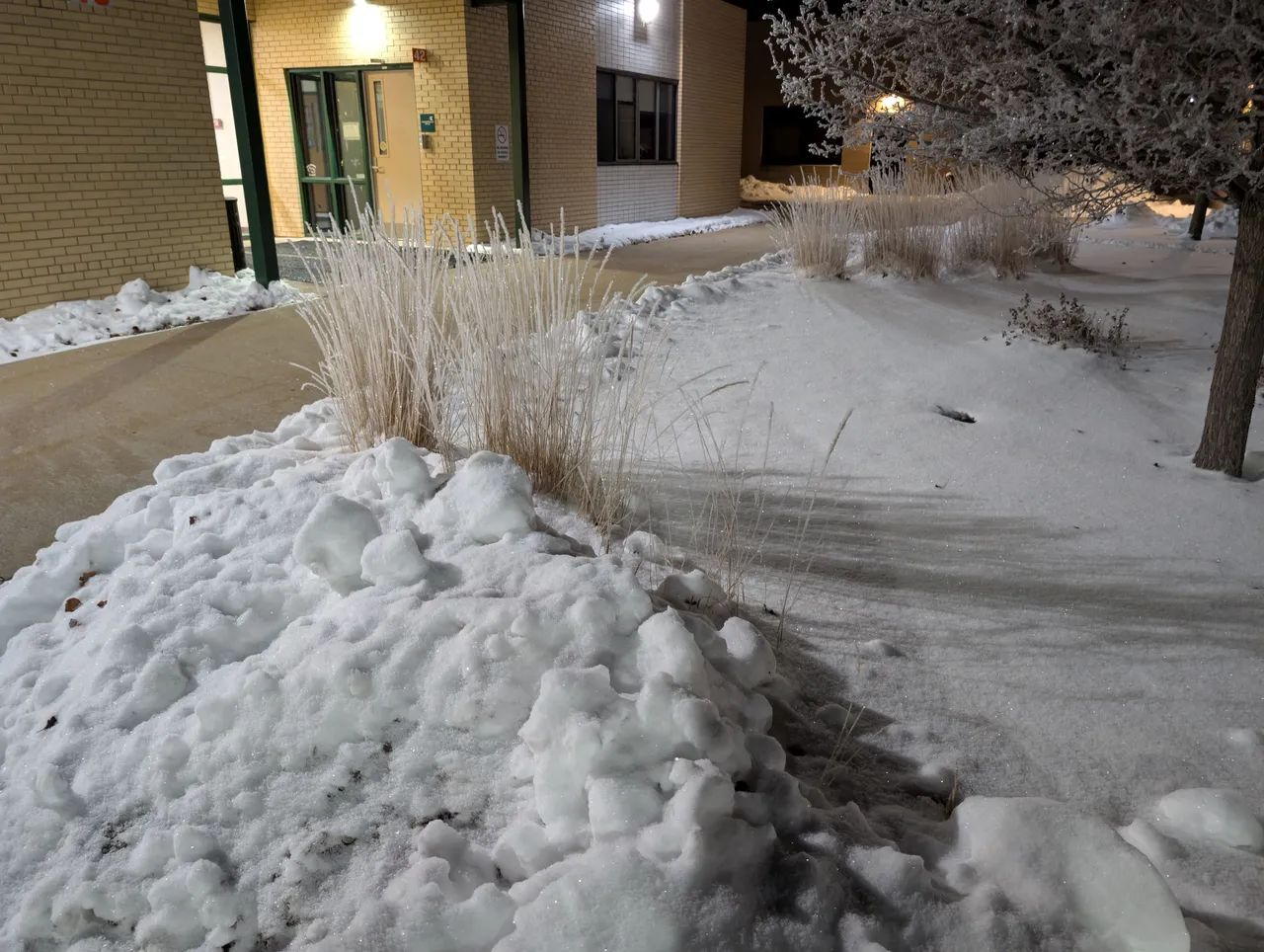 PXL_20251212_113031270.NIGHT.jpg
