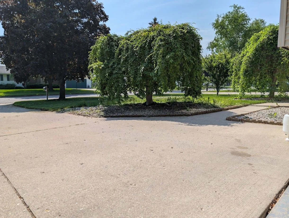 PXL_20250607_144838041.jpg