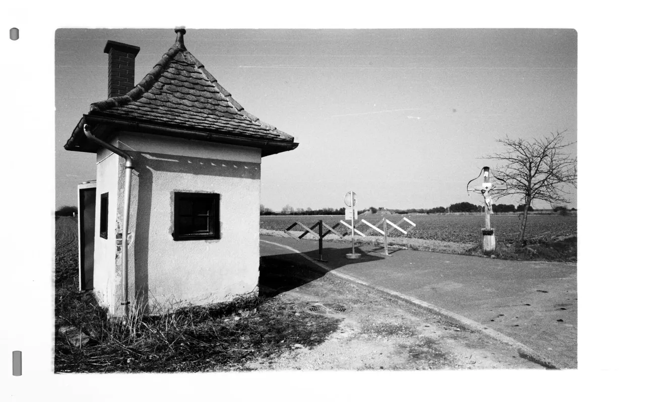 Mähring_0004.jpg
