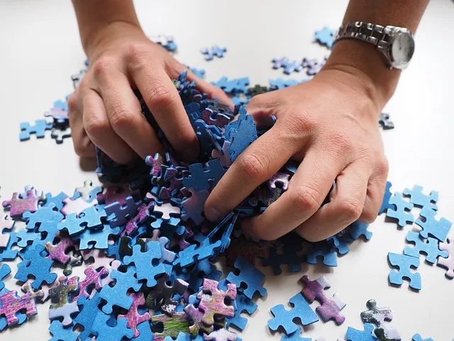 puzzle-pieces-592798_640.jpg
