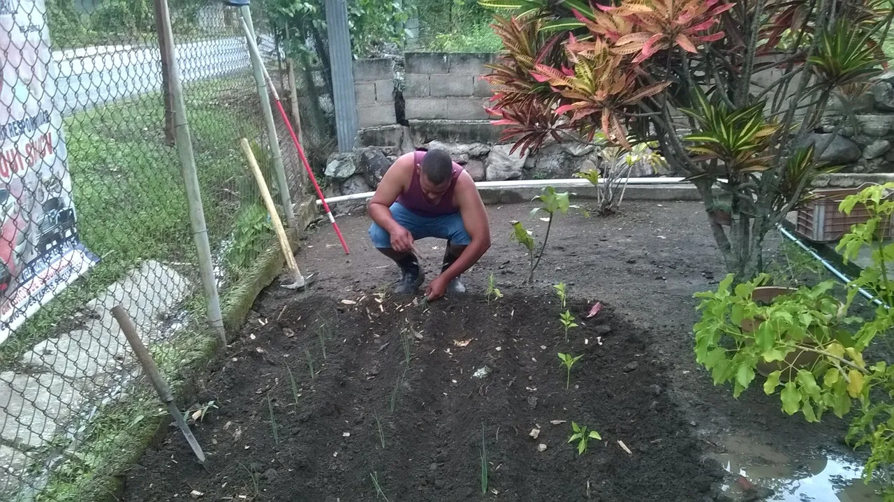 WP_20200701_007.jpg