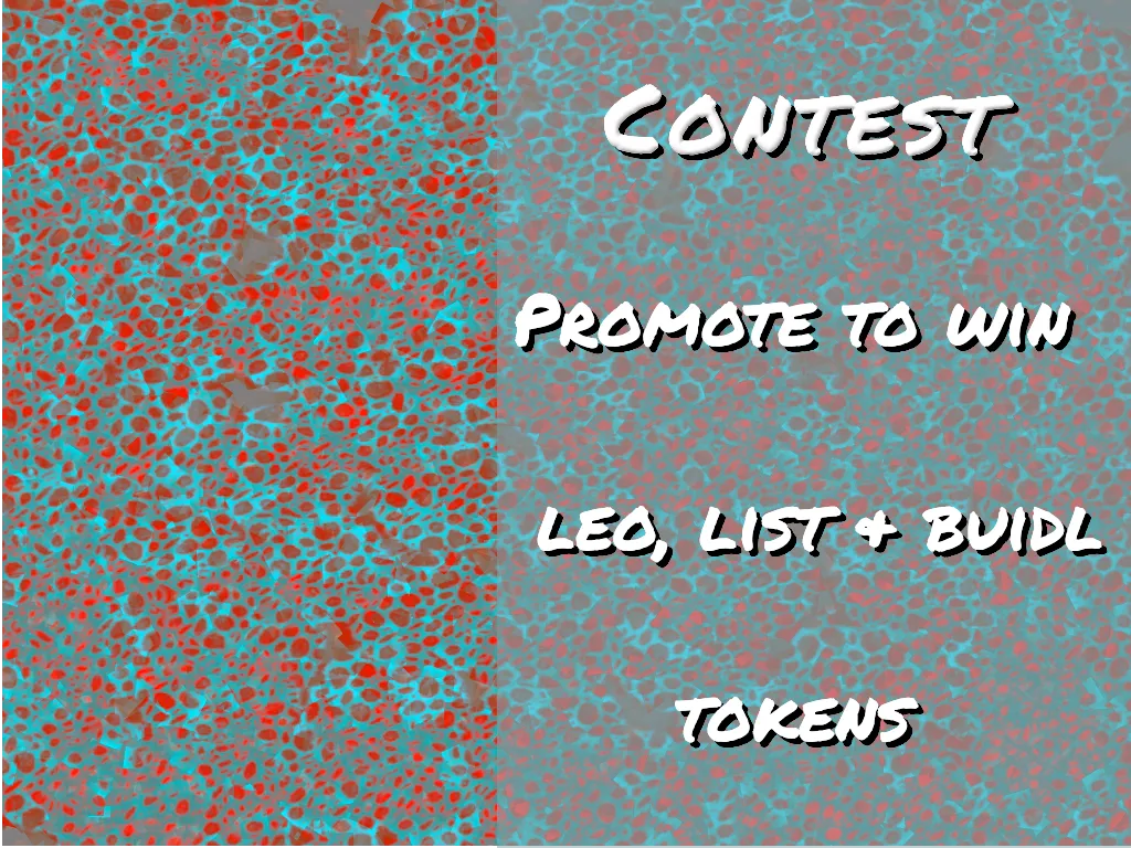 ContestDomain1.png