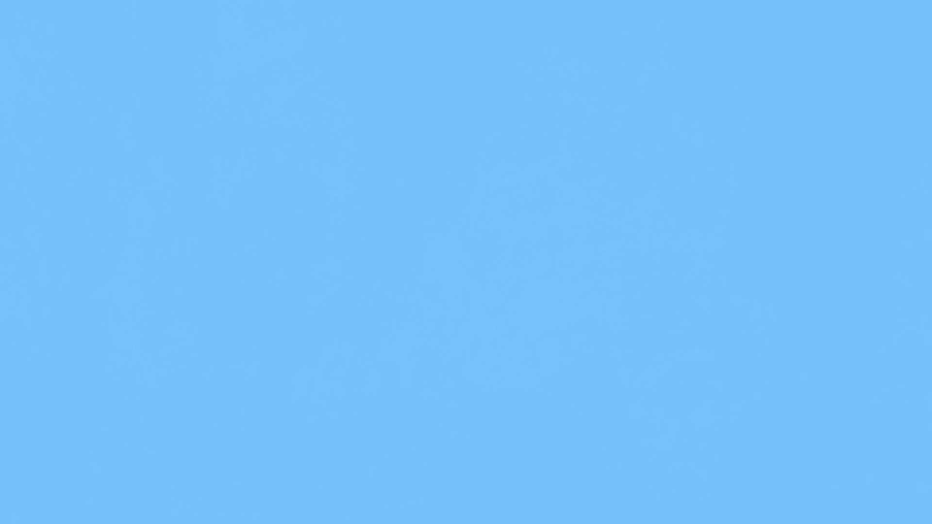 4.gif